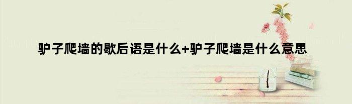 驴子爬墙的歇后语是什么 驴子爬墙是什么意思