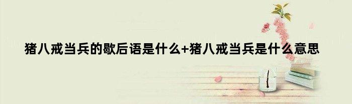 猪八戒当兵的歇后语是什么 猪八戒当兵是什么意思