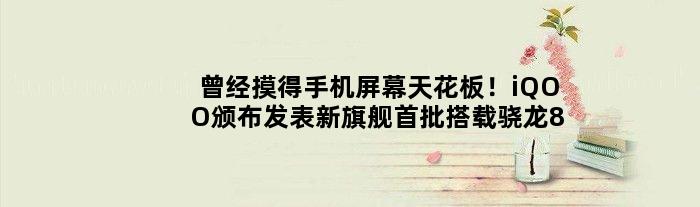 曾经摸得手机屏幕天花板！iQOO颁布发表新旗舰首批搭载骁龙8+