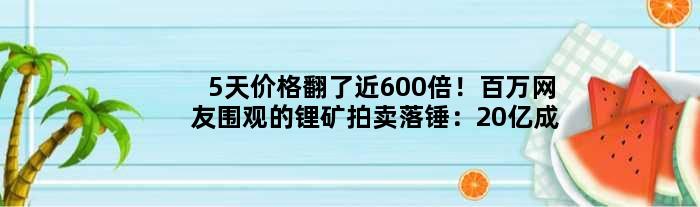 5天价格翻了近600倍！百万网友围观的锂矿拍卖落锤：20亿成交