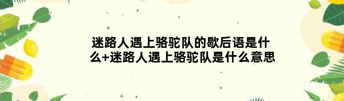 迷路人遇上骆驼队的歇后语是什么 迷路人遇上骆驼队是什么意思