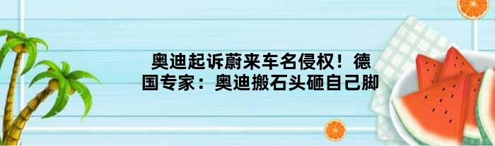 奥迪起诉蔚来车名侵权！德国专家：奥迪“搬石头砸自己脚”