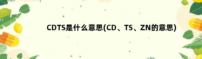 CDTS是什么意思(CD、TS、ZN的意思)