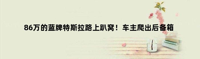 86万的蓝牌特斯拉路上趴窝！车主爬出后备箱
