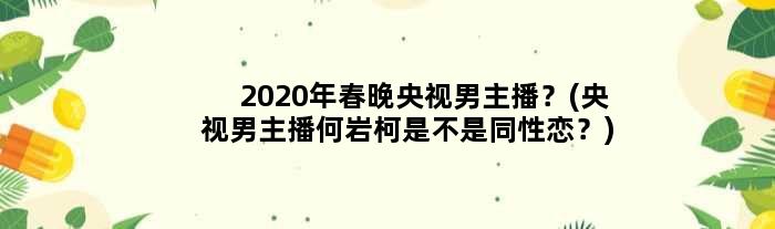 2020年春晚央视男主播？(央视男主播何岩柯是不是同性恋？)