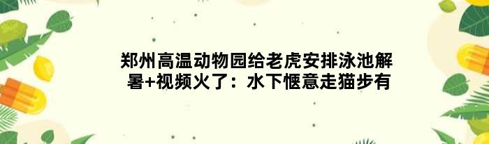 郑州高温动物园给老虎安排泳池解暑 视频火了：水下惬意走“猫步”有爱