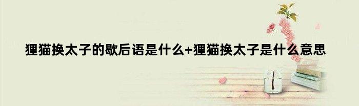 狸猫换太子的歇后语是什么 狸猫换太子是什么意思