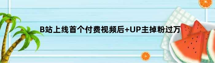 B站上线付费视频后 UP主掉粉过万