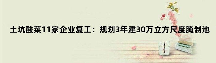 “土坑酸菜”11家企业复工：规划3年建30万立方尺度腌制池