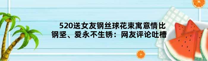 520送女友钢丝球花束寓意情比钢坚、爱永不生锈：网友评论吐槽