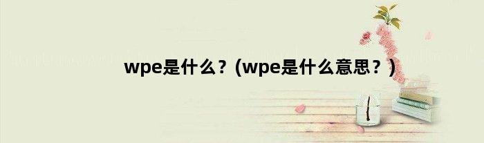 wpe是什么？(wpe是什么意思？)