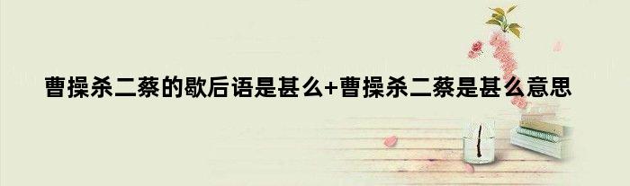 曹操杀二蔡的歇后语是甚么 曹操杀二蔡是甚么意思