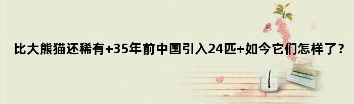比大熊猫还稀有 35年前中国引入24匹 如今它们怎样了？