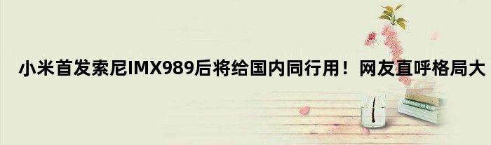 小米索尼IMX989后将给国内同行用！网友直呼格局大