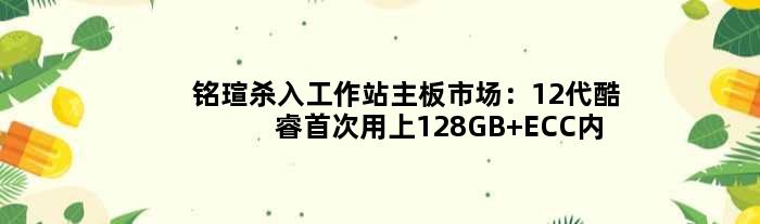铭瑄杀入工作站主板市场：12代酷睿用上128GB ECC内存