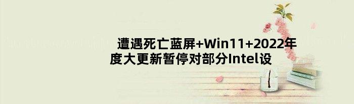 遭遇死亡蓝屏 Win11 2022年度大更新暂停对部分Intel设备推送