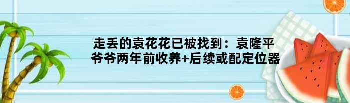 走丢的袁花花已被找到：袁隆平爷爷两年前收养 后续或配定位器