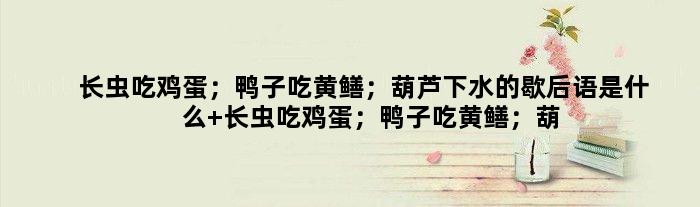长虫吃鸡蛋；鸭子吃黄鳝；葫芦下水的歇后语是什么 长虫吃鸡蛋；鸭子吃黄鳝；葫芦下水是什么意思