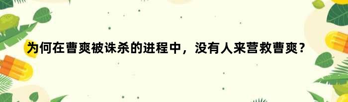 为何在曹爽被诛杀的进程中，没有人来营救曹爽？