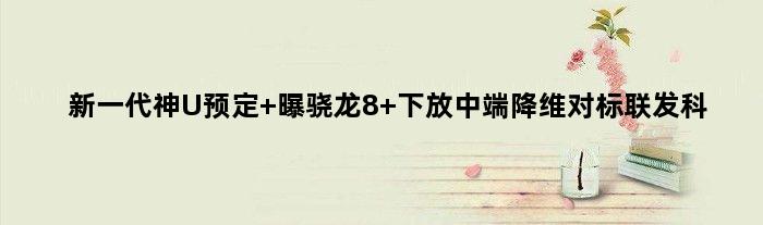 新一代神U预定 曝骁龙8+下放中端降维对标联发科