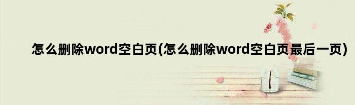怎么删除word空白页(怎么删除word空白页最后一页)