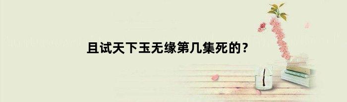 且试天下玉无缘第几集死的？
