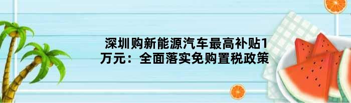 深圳购新能源汽车更高补贴1万元：全面落实免购置税政策