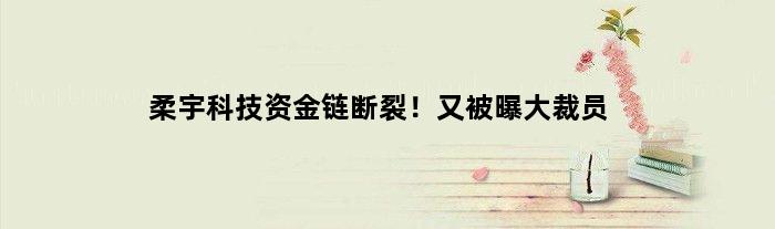 柔宇科技资金链断裂！又被曝大裁员