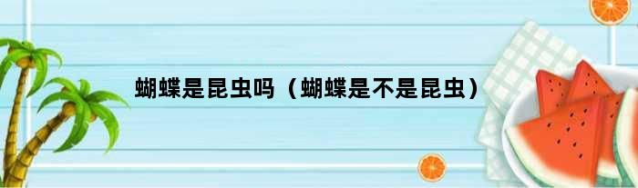 蝴蝶是昆虫吗（蝴蝶是不是昆虫）