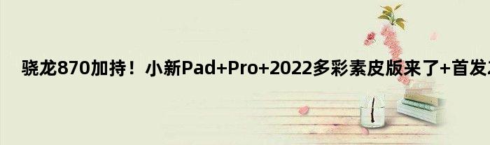 骁龙870加持！小新Pad Pro 2022多彩素皮版来了 2599元