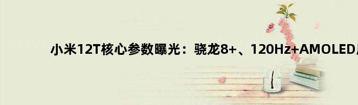 小米12T核心参数曝光：骁龙8+、120Hz AMOLED屏