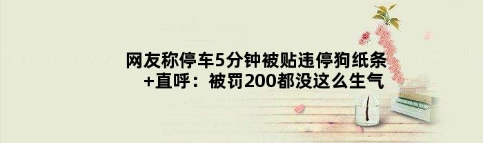 网友称停车5分钟被贴“违停狗”纸条 直呼：被罚200都没这么生气