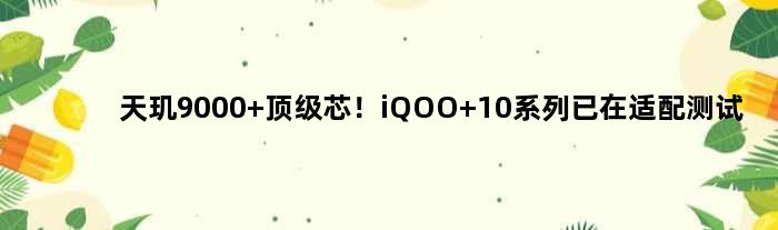 天玑9000+芯！iQOO 10系列已在适配测试