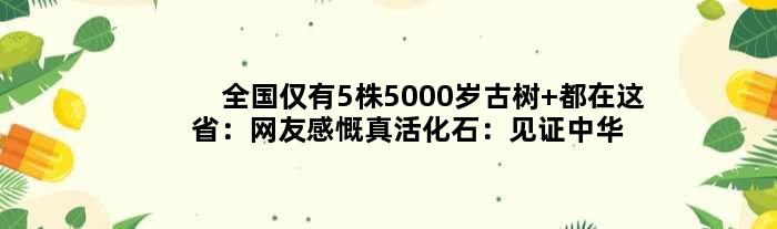 全国仅有5株5000岁古树 都在这省：网友感慨真活化石：见证中华文明