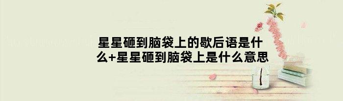 星星砸到脑袋上的歇后语是什么 星星砸到脑袋上是什么意思
