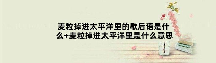 麦粒掉进太平洋里的歇后语是什么 麦粒掉进太平洋里是什么意思