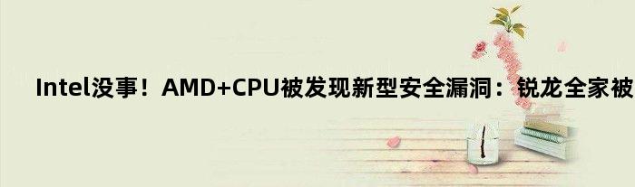 Intel没事！AMD CPU被发现新型安全漏洞：锐龙全家被捅