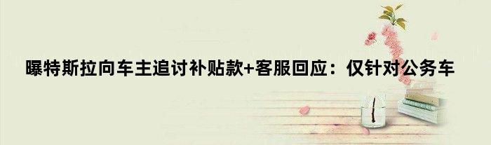 曝特斯拉向车主“追讨”补贴款 客服回应：仅针对公务车