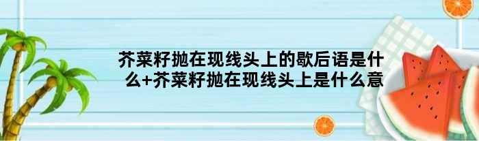 芥菜籽抛在现线头上的歇后语是什么 芥菜籽抛在现线头上是什么意思