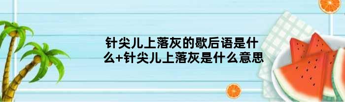 针尖儿上落灰的歇后语是什么 针尖儿上落灰是什么意思
