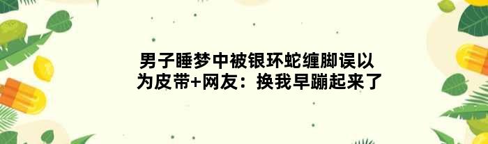 男子睡梦中被银环蛇缠脚误以为皮带 网友：换我早蹦起来了