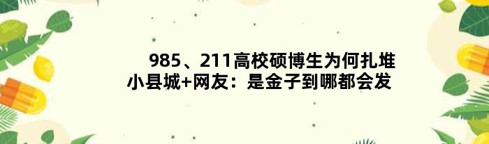 985、211高校硕博生为何扎堆小县城 网友：是金子到哪都会发光
