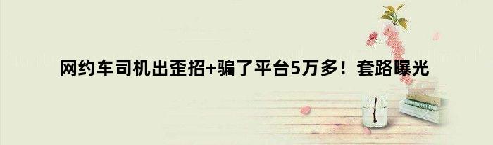 网约车司机出歪招 骗了平台5万多！套路曝光