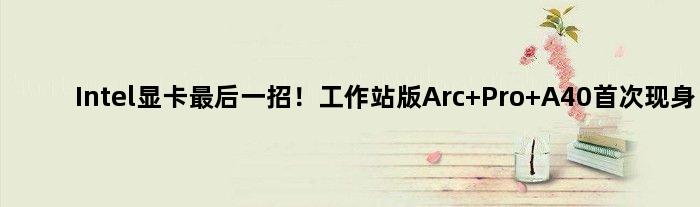 Intel显卡最后一招！工作站版Arc Pro A40现身