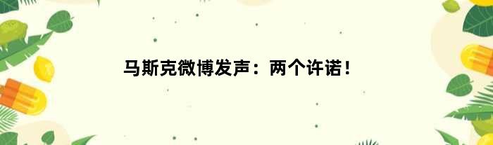 马斯克微博发声：两个许诺！