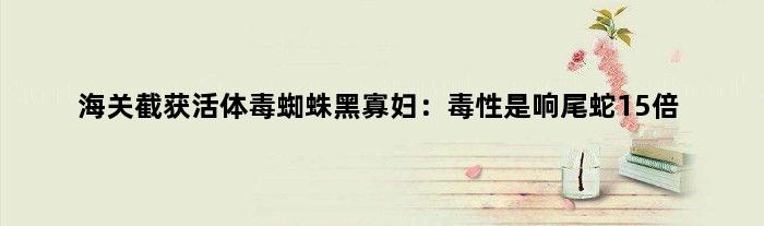 海关截获活体毒蜘蛛黑寡妇：毒性是响尾蛇15倍