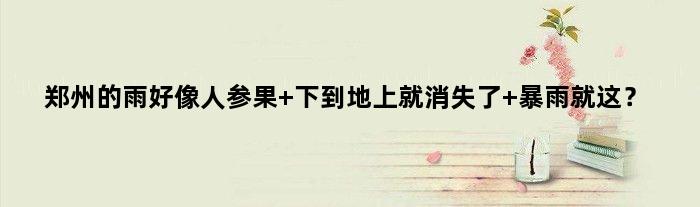郑州的雨好像人参果 下到地上就消失了 暴雨就这？
