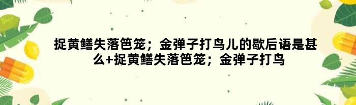 捉黄鳝失落笆笼；金弹子打鸟儿的歇后语是甚么 捉黄鳝失落笆笼；金弹子打鸟儿是甚么意思
