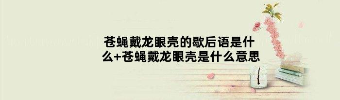 苍蝇戴龙眼壳的歇后语是什么 苍蝇戴龙眼壳是什么意思