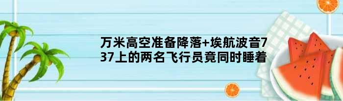 万米高空准备降落 埃航波音737上的两名飞行员竟同时睡着